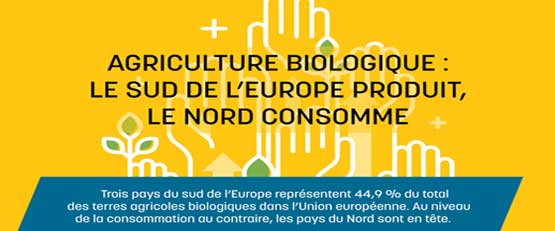 Agriculture bio en Europe: le sud produit, le nord consomme
