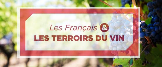 Les Français sont attachés à leurs territoires viticoles