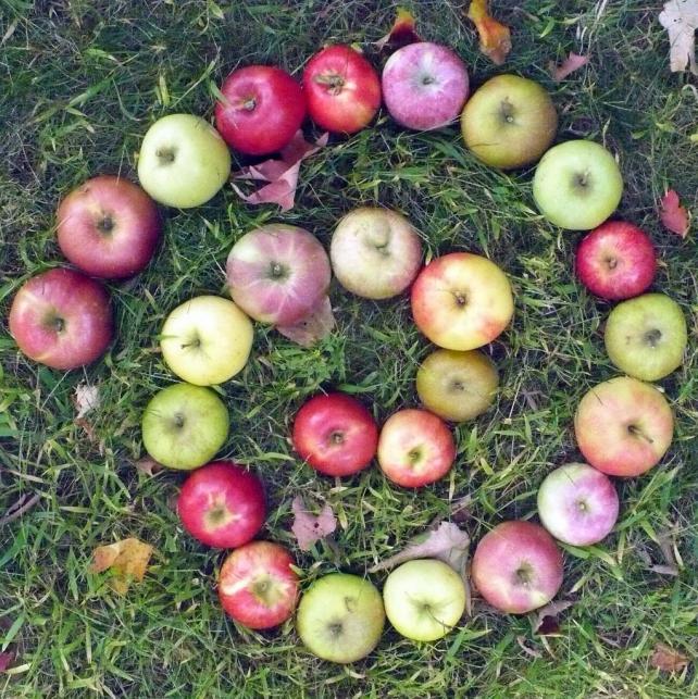 Pomme, photo : Philip Chapman Bell