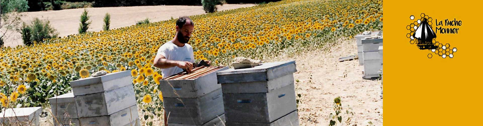 La Ruche Monnier, miels et produits de la ruche dans l'Hérault