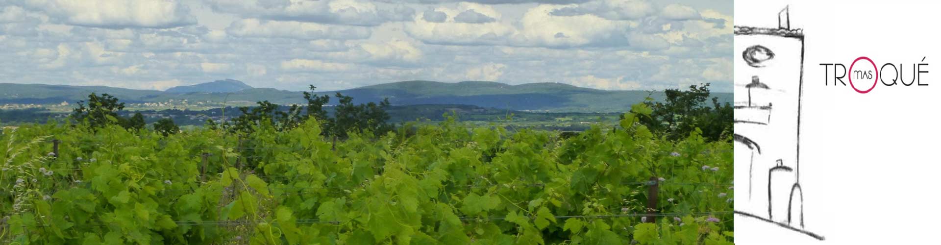 Mas Troqué, Vin bio à Aspiran dans l'Hérault