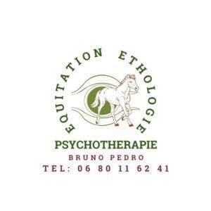 Equi-Thérapie Equi Coaching Bruno PEDRO