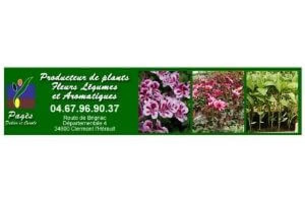 Pagès Didier Horticulture à Clermont l'Hérault