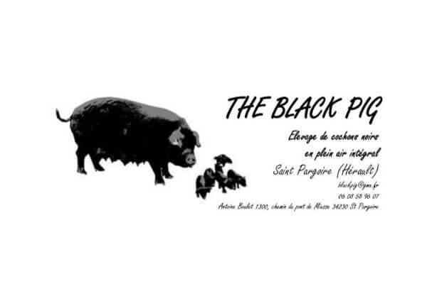 The black pig