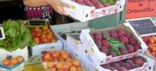 EARL Terres et Fruits, producteur de fruits et légumes à Canet dans l'Hérault. Vente directe du producteur au consommateur.