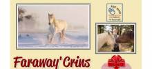 Faraway'Crins Fabrication création de bijoux à base de crins de chevaux