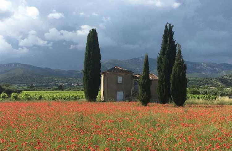 Groupement Foncier Viticole : Le Mas des Songes à Montpeyroux