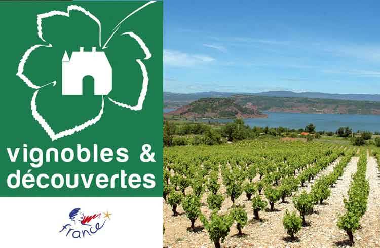 destination Languedoc coeur hérault vignobles et découverte
